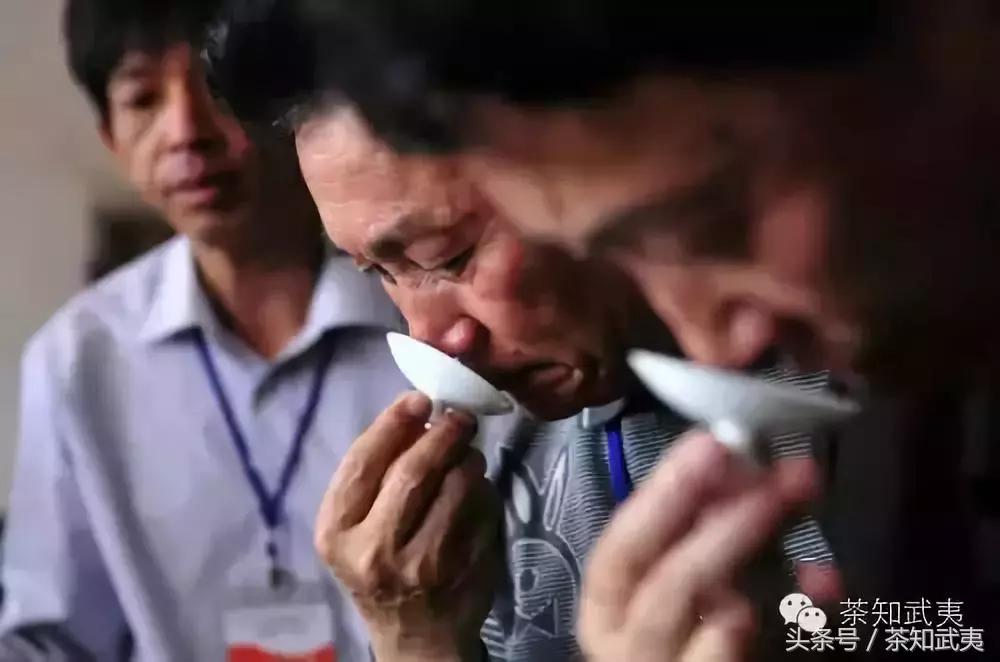 买茶什么都不会怎么办,买茶叶不想被坑