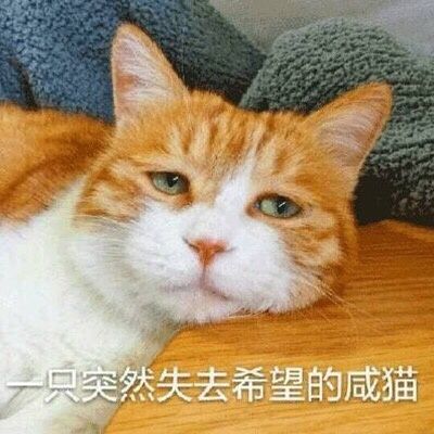 你用过最坑的手机是什么,你们用过的智能手机哪款好