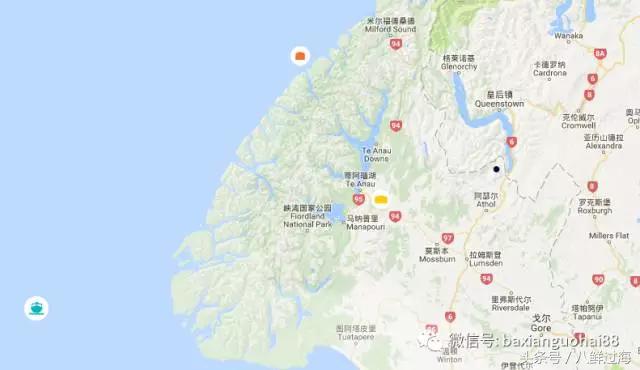 新西兰红色岩龙虾,新西兰岩龙虾介绍