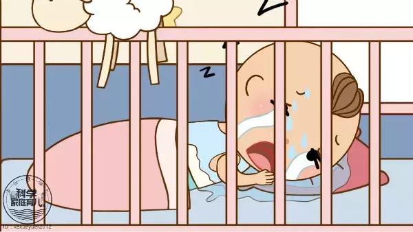 夏季虫多如何预防消灭,夏季要预防的四种虫子