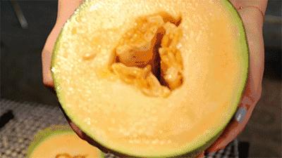 甜瓜｜伊丽莎白、金蜜、白兔、京玉、鲁厚甜1号、蜜兰、流星……