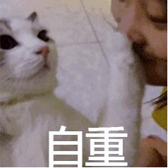 「喵百科」从胡须、耳朵、尾巴看透猫在想什么！