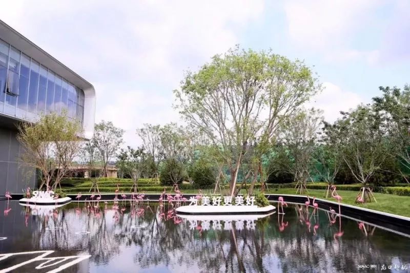 暑期去山东龙口,拍ins风网红大片,看没有游客蔚蓝大海!