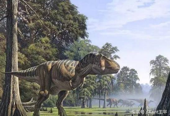 霸王龙的天敌食肉恐龙,巨型食肉牛龙对战霸王龙