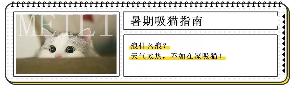 5分钟一道菜！从此跟外卖BYEBYE~