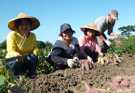 拼多多为啥有那么多的伪劣产品,拼多多买到伪劣商品没有管的吗