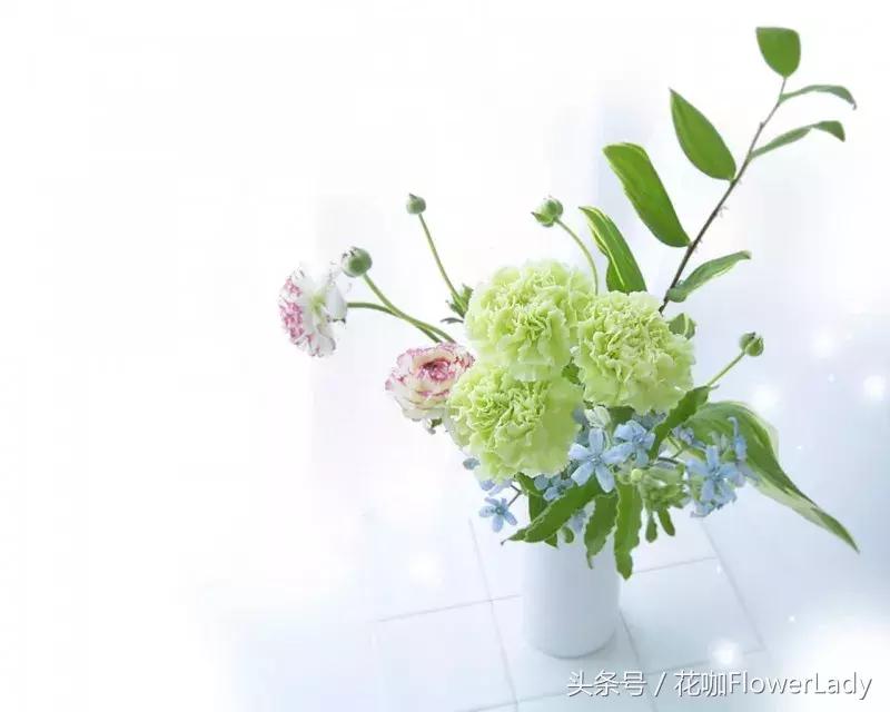 插花初学者入门需要准备什么,新手入门插花课