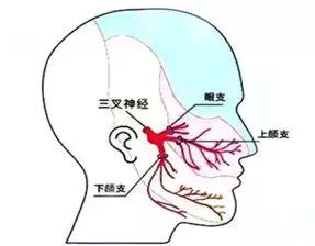 为什么点眼药水嘴巴要张开,滴眼药水为什么