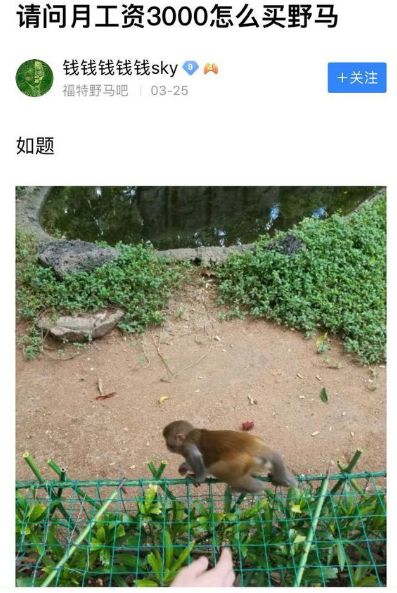 月薪多少可以买野马2.3t,月薪5000可以买二手野马吗