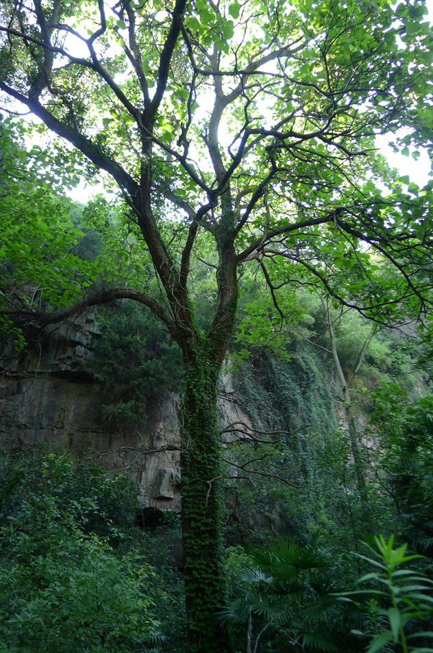 寻访野生动植物,寻找史前野生生物
