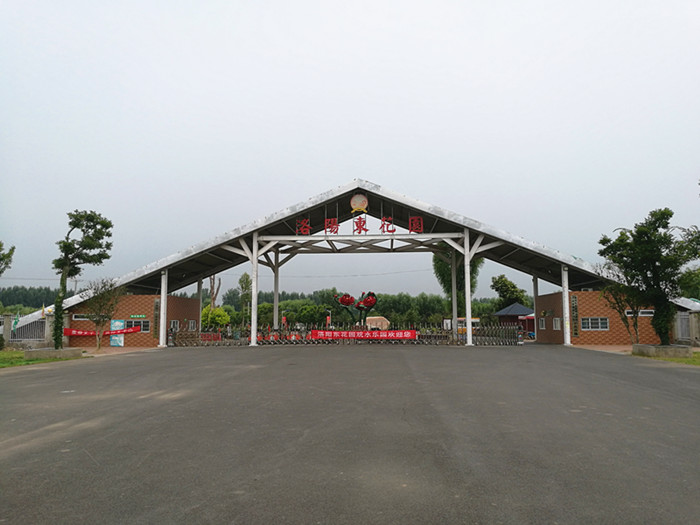 洛阳20多万院子,在洛阳花20多万