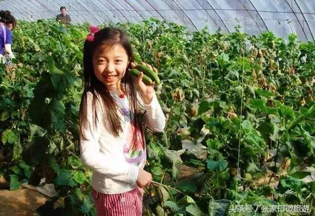 醉美草原乡村文化节,乡村旅游张家口