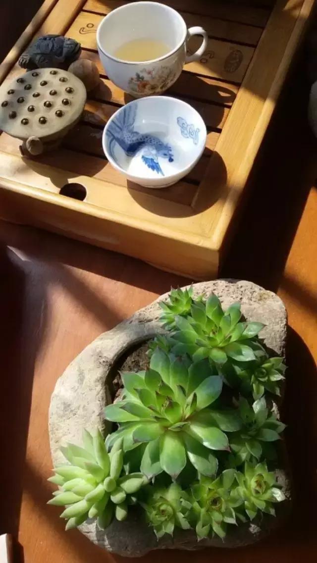 中医音乐疗法真实吗,中医养生音乐加长版