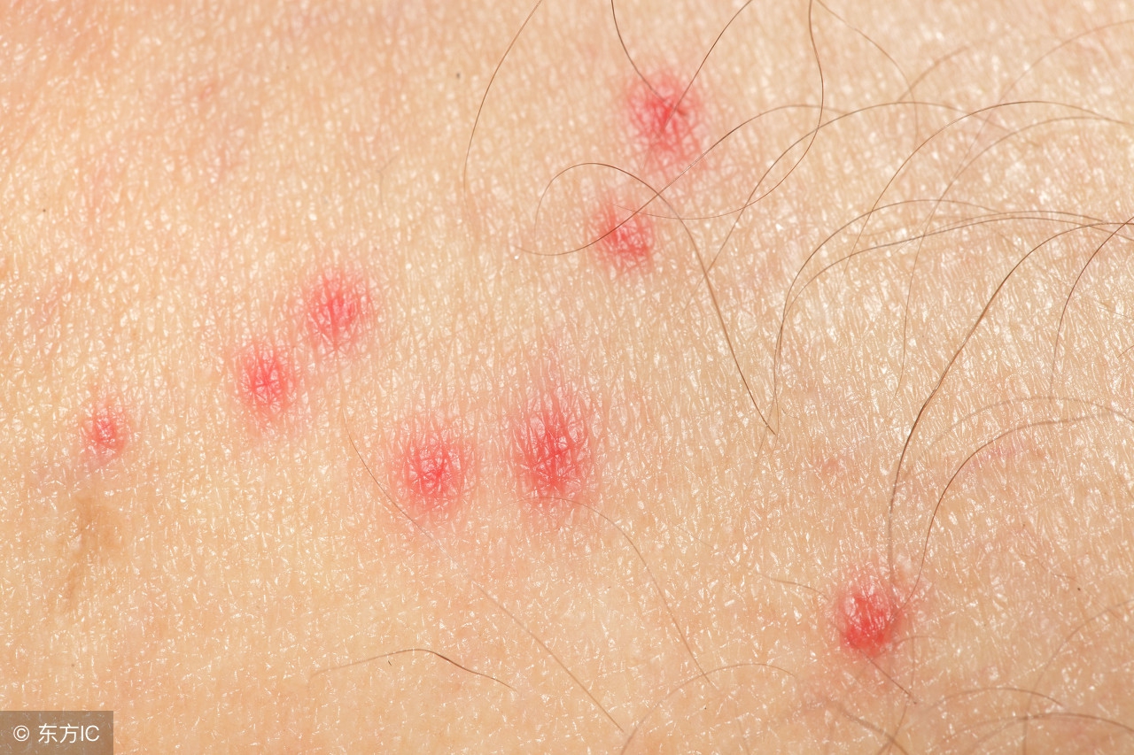 女子质疑在朋友圈买到假抗原,女孩代购免税卖假货