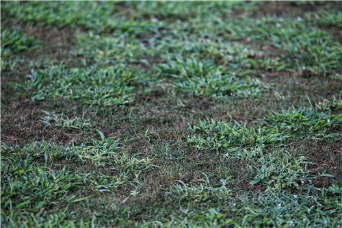 中超最垃圾球队,五大联赛球风脏的中后卫