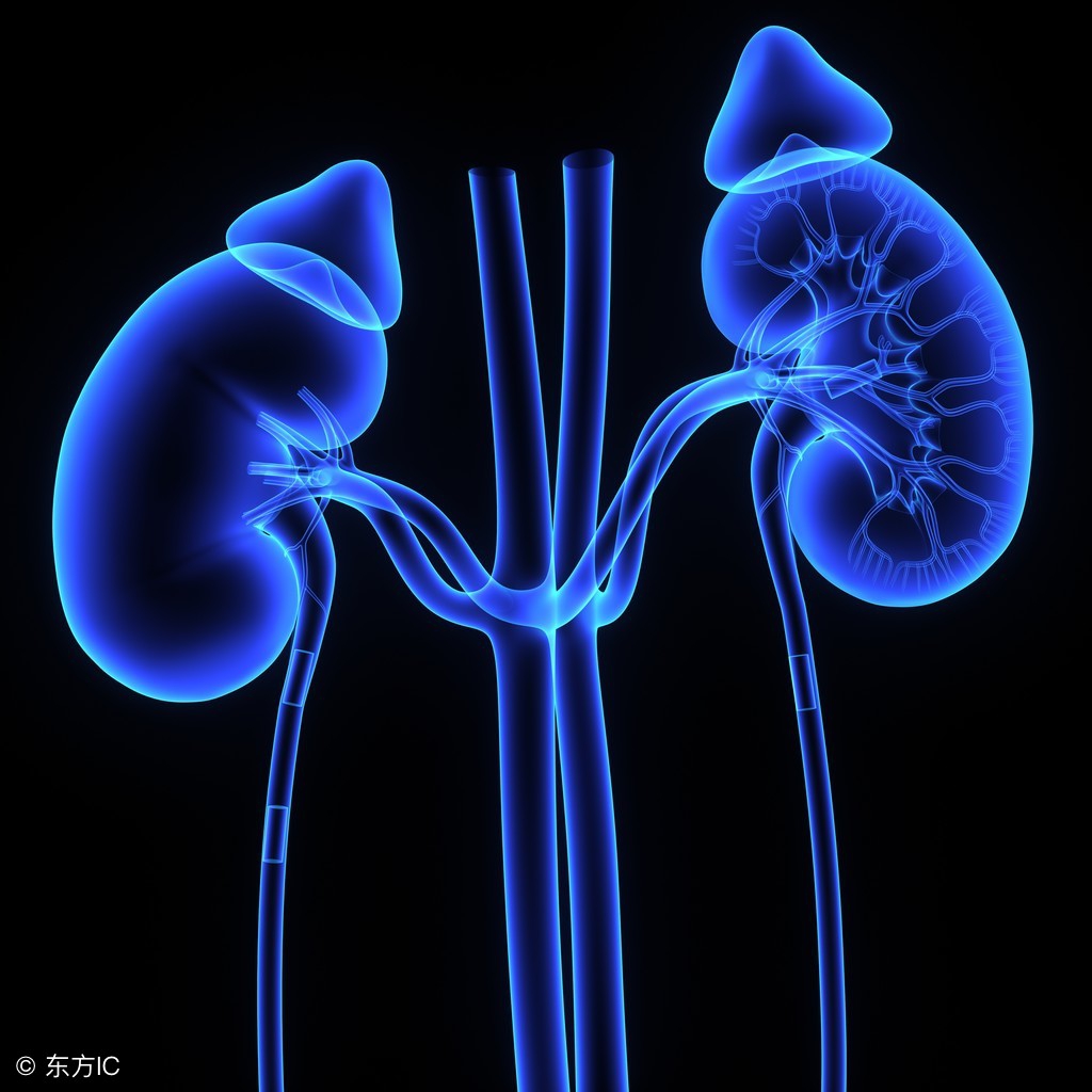 肾结石治疗有哪几种方法,肾结石发作了疼痛难忍怎么办