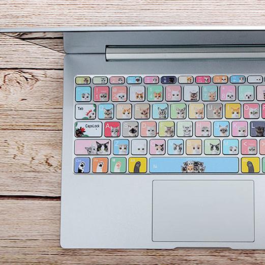 保护键盘的正确方法,键盘维护小技巧