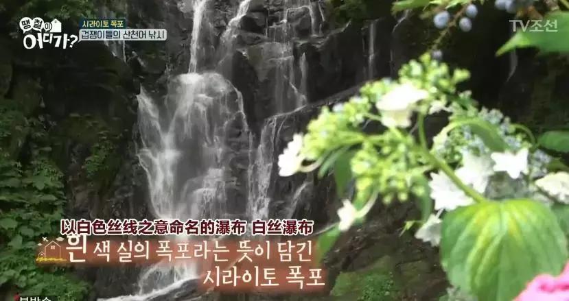 收视率很低但坚持播出的综艺 (三无综艺最新视频)