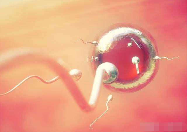 临近排卵期会有什么感觉,临近排卵日卵子的生长速度