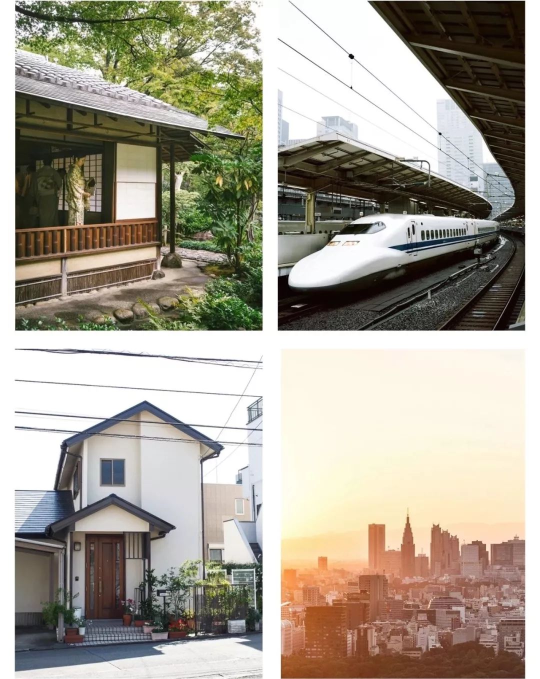 那些你曾被种过的草（排名不分先后）