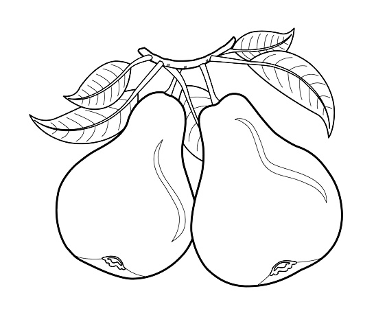 各种水果蔬菜的简笔画图片,简笔画蔬菜水果24张简单简笔画