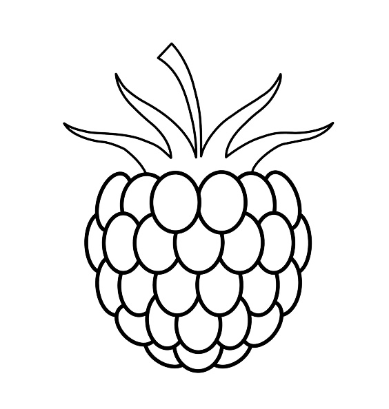 各种水果蔬菜的简笔画图片,简笔画蔬菜水果24张简单简笔画