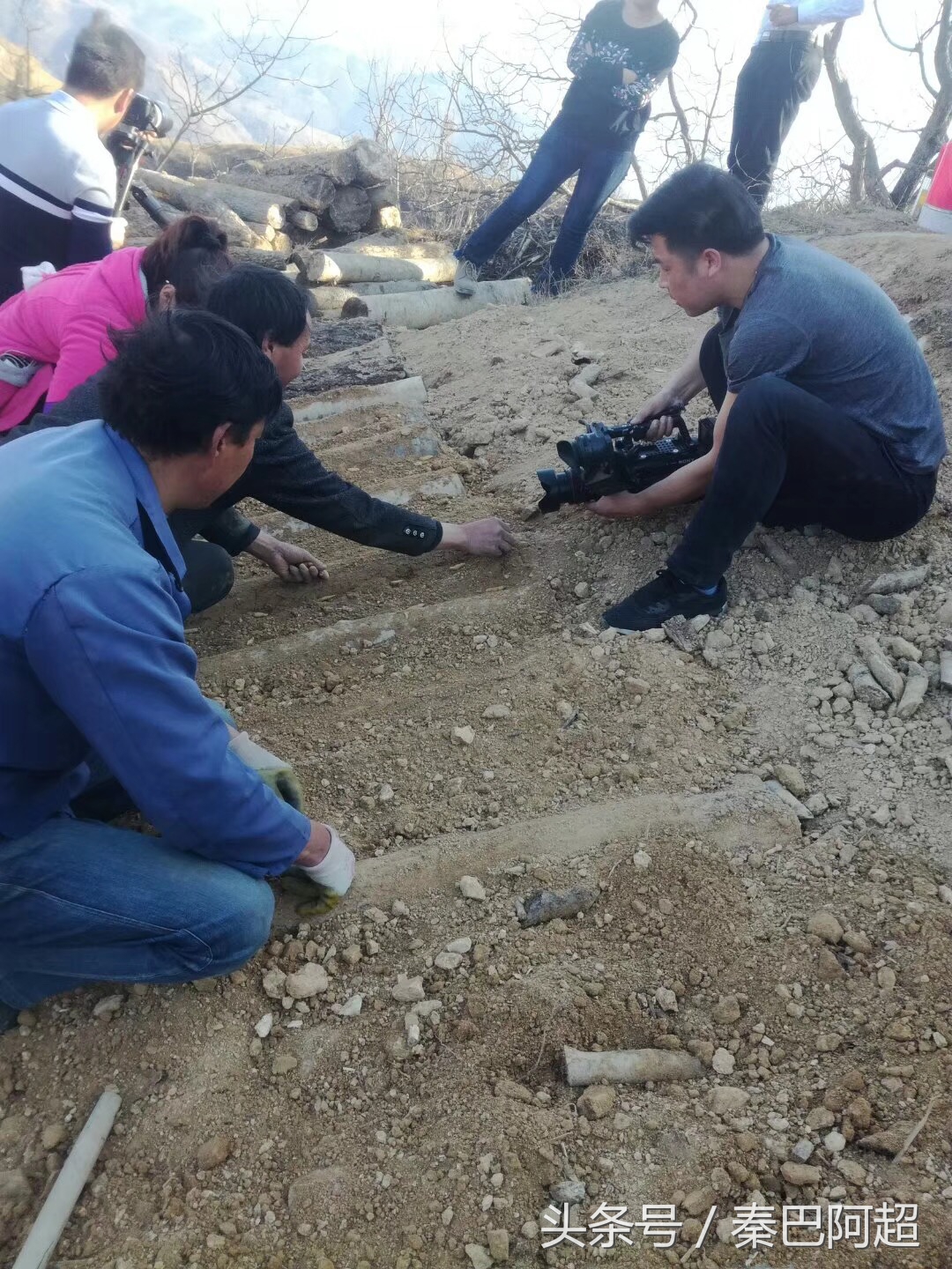 小草坝云南最美的天麻之乡,带你走进云南天麻之乡