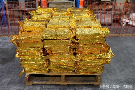 中国留学生会被判14年吗,留学生创业亏了多少钱