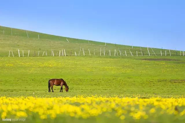 脾气差自私的原因,强势自私脾气差的女人