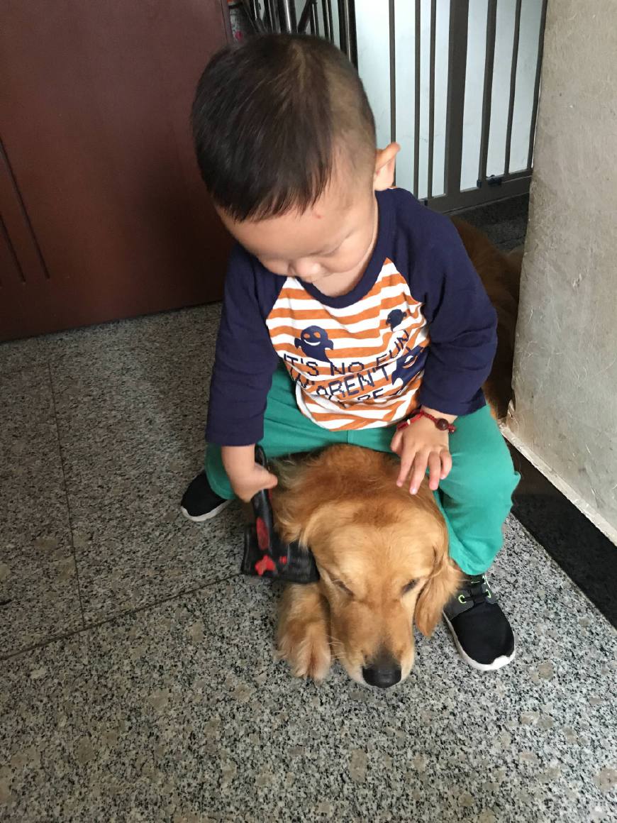 遇到调皮的熊孩子怎么办,遇到熊孩子该怎么处理