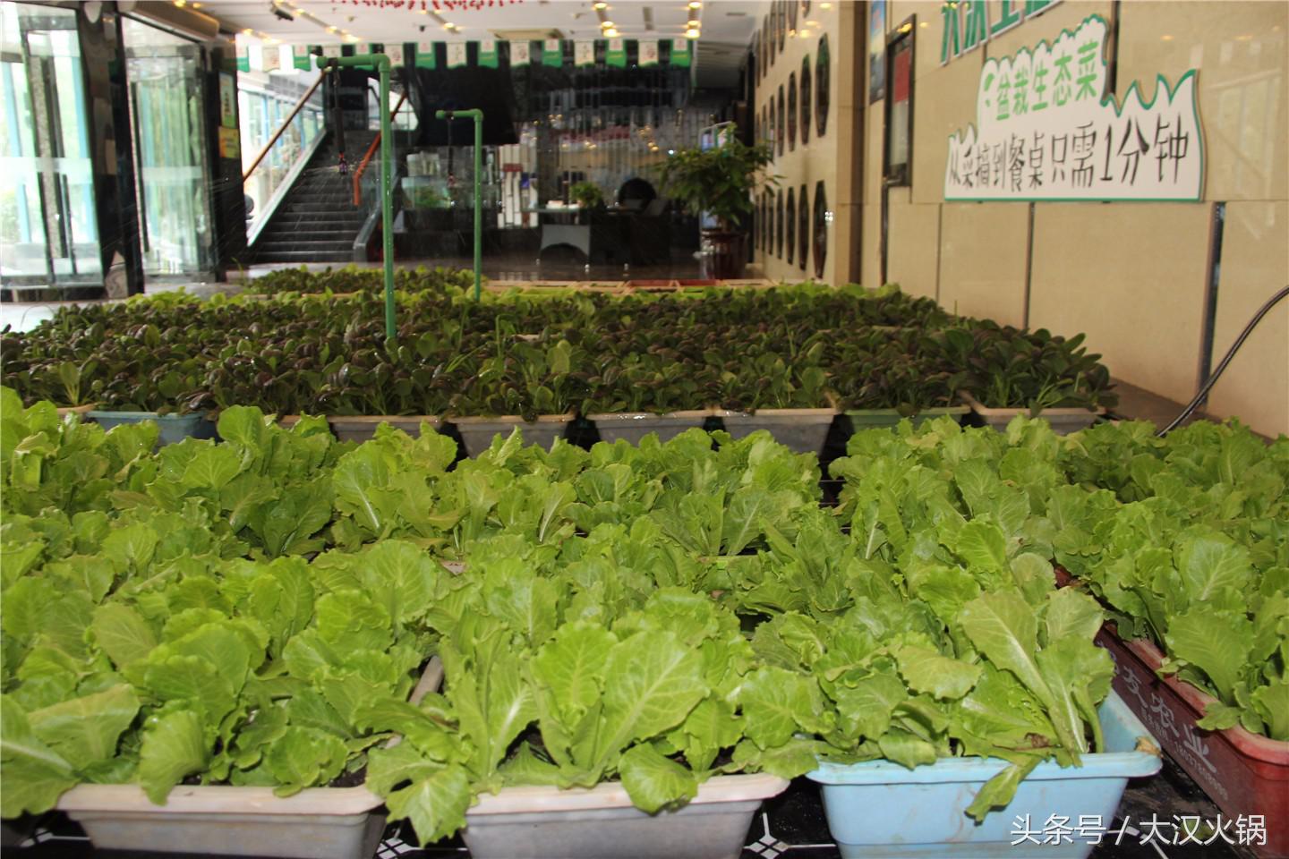 欢迎领导到我市指导工作,欢迎领导到公司参观指导