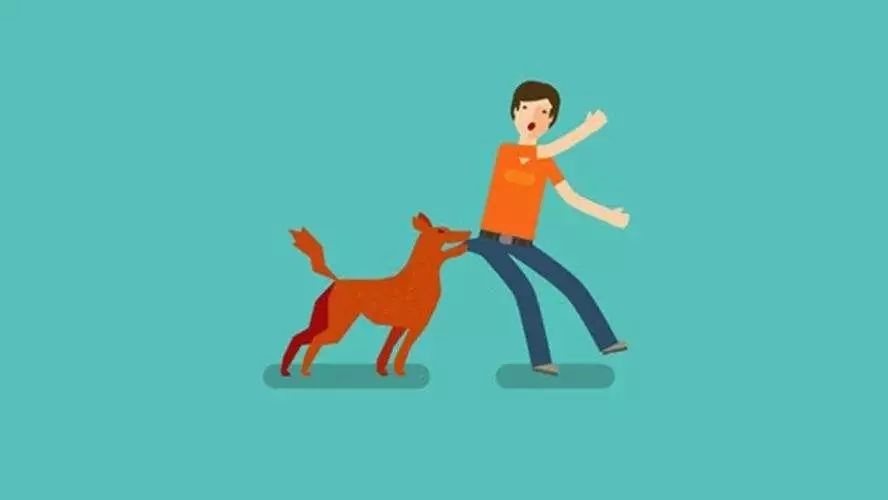 狂犬病毒真相揭秘,关于狂犬病你必须知道的真相