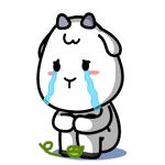 双流区二手房过户在哪儿去办理,双流二手房过户需要带的证件