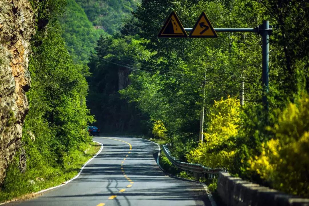 百里山水画廊四季花海,周末美好时光畅游千亩花海