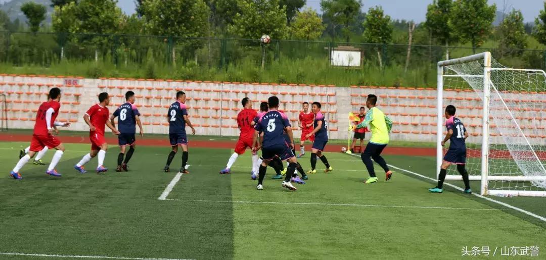 鍗＋鍔ㄥ姏鏉冻鐞冭禌涓存矀鏀槦,鍗＋鍔ㄥ姏