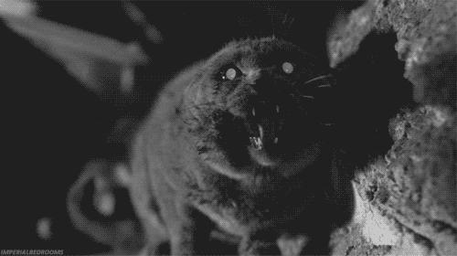 恐怖片迷过大年了，美剧拍出斯蒂芬·金宇宙