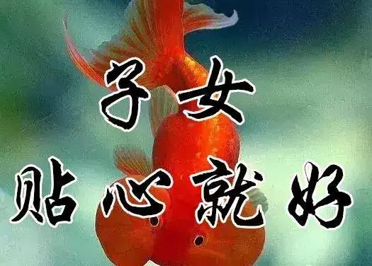 知足常乐每天都要保持开心的状态,知足常乐开心过好每一天