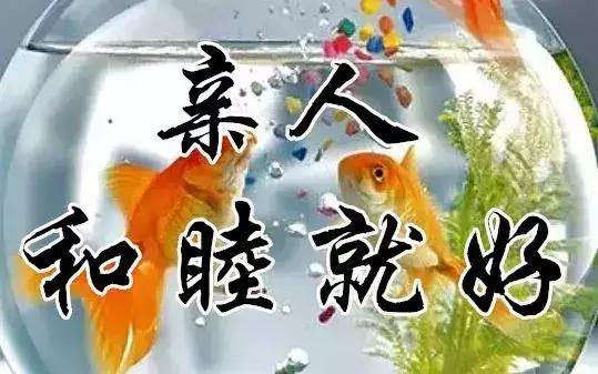 知足常乐每天都要保持开心的状态,知足常乐开心过好每一天