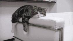 河南南阳外卖推荐,南阳外卖爆款