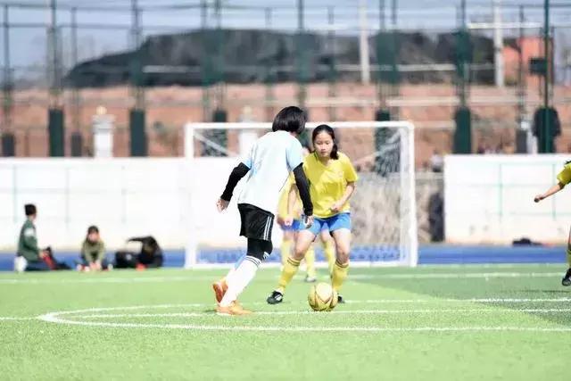 苏溪三小足球队,浙江省希望杯校园足球