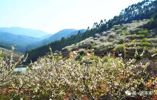 漳浦必去景点,漳浦最出名的地方