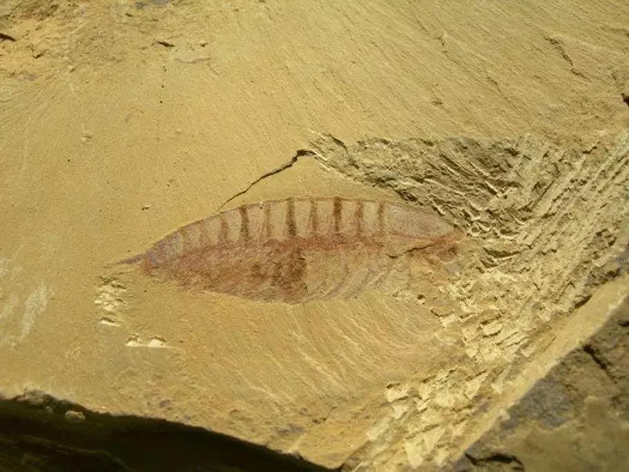 全国世界遗产有哪些,中国世界遗产名录旅游景点