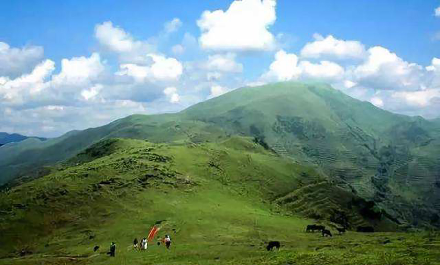 想看大草原是去西藏还是新疆,想看草原去哪里合适