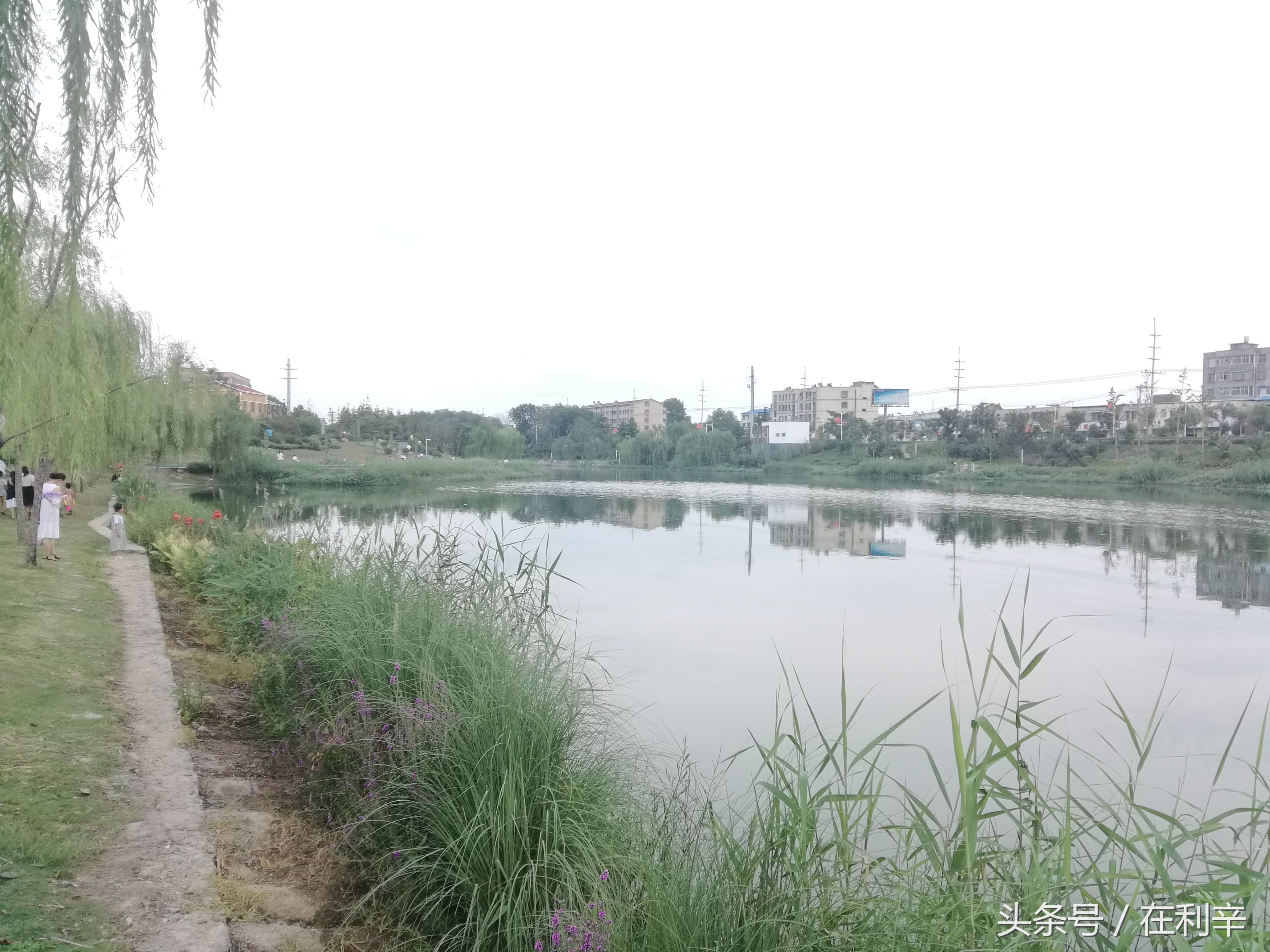 利辛日常生活,亳州利辛县日常生活