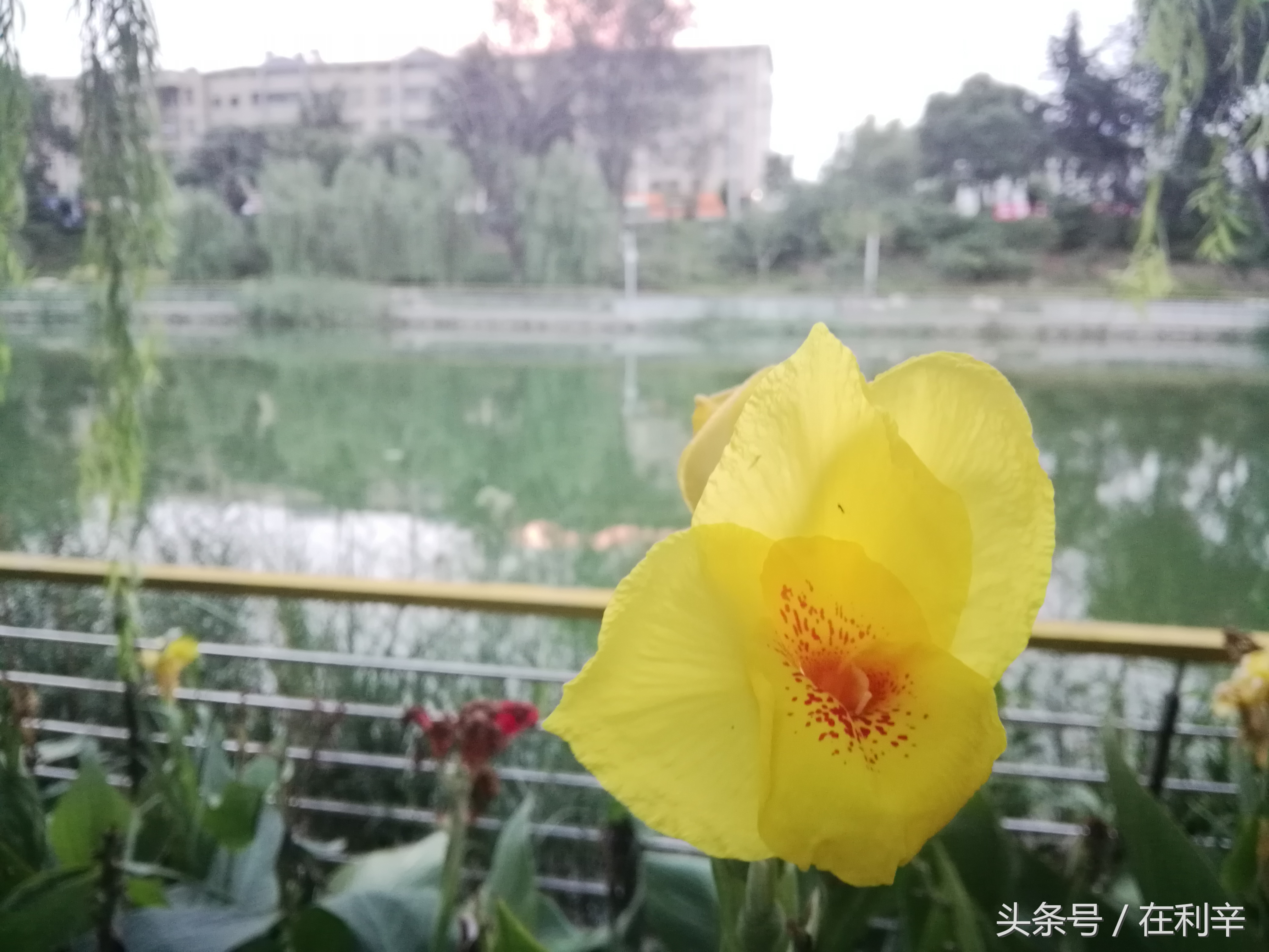 利辛日常生活,亳州利辛县日常生活