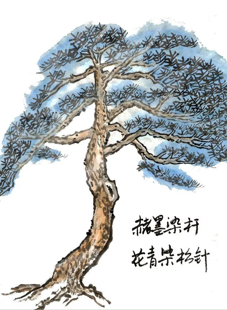 古代松树的画法,迎客松树的画法