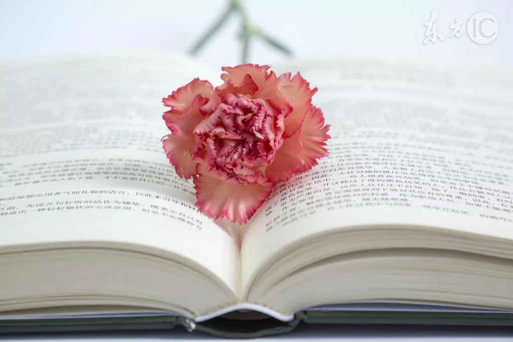 中文之美再次震撼中国人,中文之美你被震撼了吗