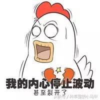 网红明星爆款推荐,明星推荐真的靠谱吗