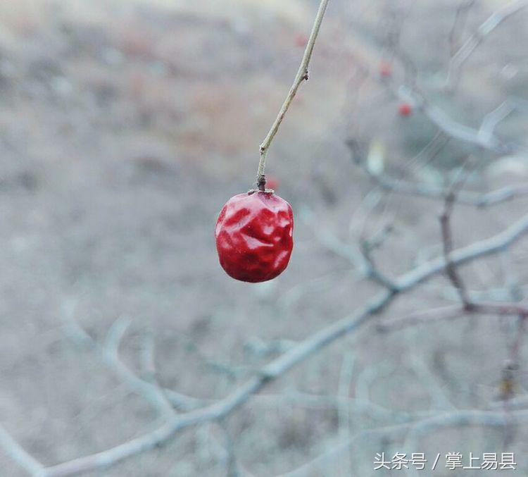 窟窿山,凤凰山星月