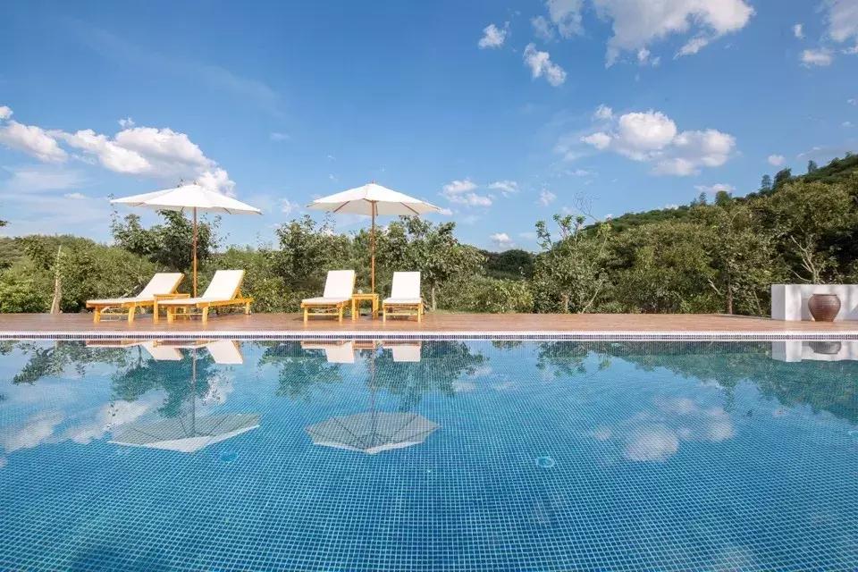 莫奈油画里的花园,莫奈油画里的梦幻花园